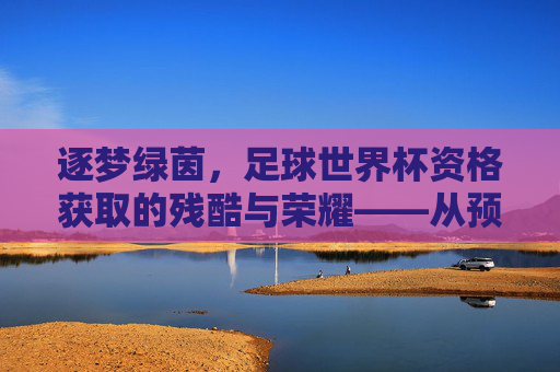 逐梦绿茵，足球世界杯资格获取的残酷与荣耀——从预选赛到决赛圈的荆棘之路，逐梦绿茵，足球世界杯资格获取的残酷与荣耀——从预选赛到决赛圈的荆棘之路