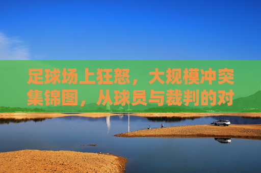足球场上狂怒，大规模冲突集锦图，从球员与裁判的对峙到观众与球员的冲突，赛场暴力如何侵蚀体育精神，足球场上冲突狂怒集锦，从球员与裁判对峙到观众冲突，赛场暴力侵蚀体育精神