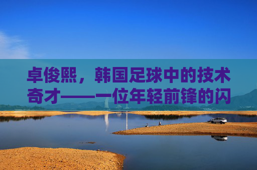 卓俊熙,韩国足球中的技术奇才——一位年轻前锋的闪耀之路与未来图景,卓俊熙,韩国足球中的技术奇才——一位年轻前锋的闪耀之路与未来图景