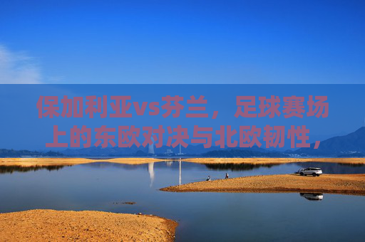 保加利亚vs芬兰，足球赛场上的东欧对决与北欧韧性，保加利亚vs芬兰，足球赛场上的东欧对决与北欧韧性