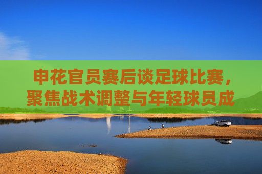 申花官员赛后谈足球比赛,聚焦战术调整与年轻球员成长,为争冠蓄力,申花赛后谈战术调整与年轻球员成长,为争冠蓄力