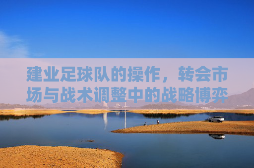 建业足球队的操作，转会市场与战术调整中的战略博弈