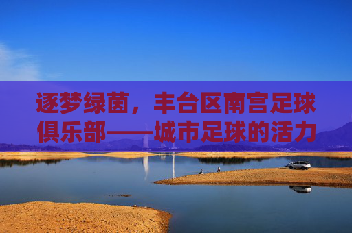 逐梦绿茵,丰台区南宫足球俱乐部——城市足球的活力引擎与青春绽放