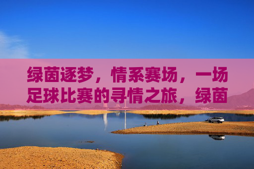 绿茵逐梦，情系赛场，一场足球比赛的寻情之旅，绿茵逐梦，情系赛场，一场足球比赛的寻情之旅