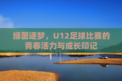 绿茵逐梦，U12足球比赛的青春活力与成长印记