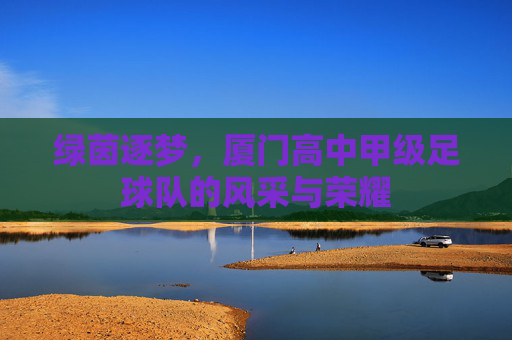 绿茵逐梦,厦门高中甲级足球队的风采与荣耀