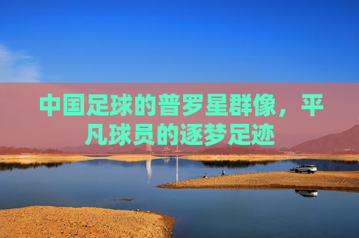 中国足球的普罗星群像,平凡球员的逐梦足迹