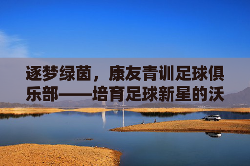逐梦绿茵,康友青训足球俱乐部——培育足球新星的沃土与希望
