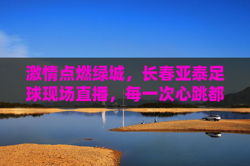 激情点燃绿城，长春亚泰足球现场直播，每一次心跳都是对梦想的执着