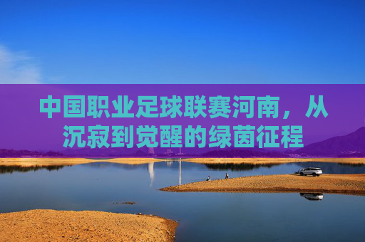 中国职业足球联赛河南,从沉寂到觉醒的绿茵征程