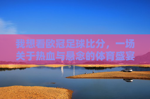我想看欧冠足球比分,一场关于热血与悬念的体育盛宴