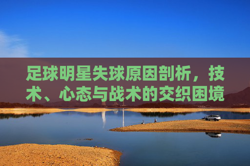 足球明星失球原因剖析，技术、心态与战术的交织困境，足球明星失球原因剖析，技术、心态与战术的交织困境