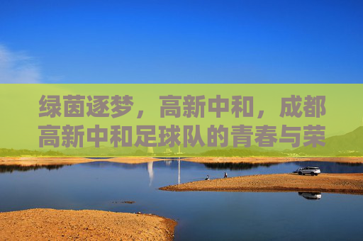 绿茵逐梦,高新中和,成都高新中和足球队的青春与荣耀