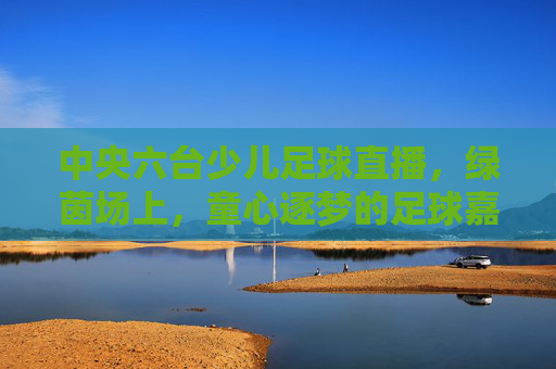 中央六台少儿足球直播，绿茵场上，童心逐梦的足球嘉年华