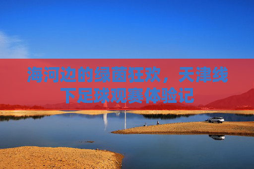 海河边的绿茵狂欢,天津线下足球观赛体验记