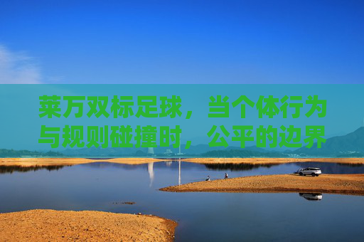 莱万双标足球,当个体行为与规则碰撞时,公平的边界在何处?