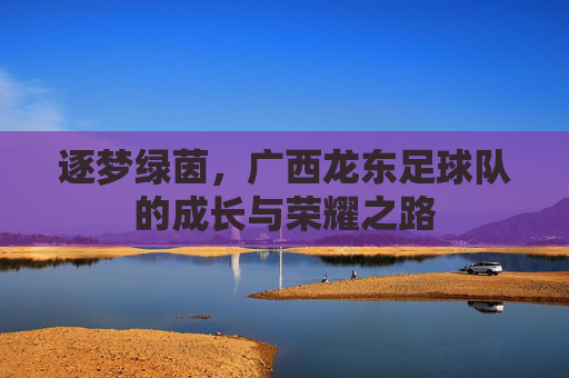 逐梦绿茵，广西龙东足球队的成长与荣耀之路