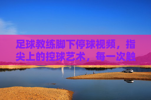 足球教练脚下停球视频，指尖上的控球艺术，每一次触碰都是技术的教科书