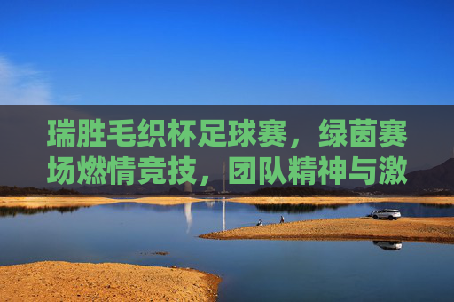 瑞胜毛织杯足球赛,绿茵赛场燃情竞技,团队精神与激情碰撞