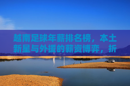 越南足球年薪排名榜，本土新星与外援的薪资博弈，折射联赛职业化进程