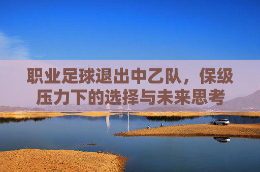 职业足球退出中乙队,保级压力下的选择与未来思考
