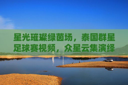 星光璀璨绿茵场，泰国群星足球赛视频，众星云集演绎足球激情与公益魅力