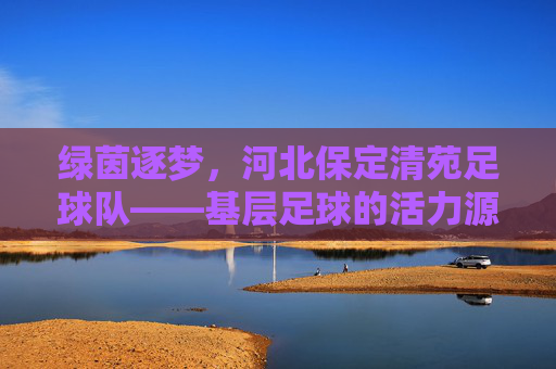 绿茵逐梦，河北保定清苑足球队——基层足球的活力源泉与希望之光