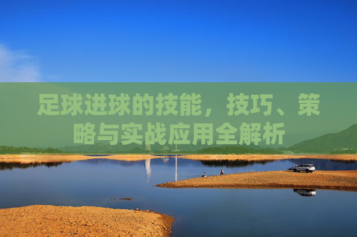 足球进球的技能,技巧、策略与实战应用全解析