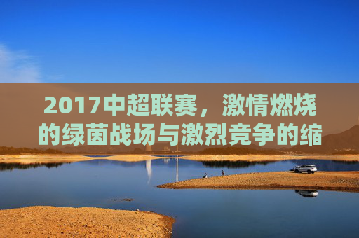 2017中超联赛,激情燃烧的绿茵战场与激烈竞争的缩影,2017中超,激情燃烧的绿茵战场与激烈竞争的缩影