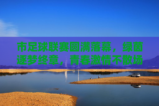 市足球联赛圆满落幕，绿茵逐梦终章，青春激情不散场，市足球联赛落幕，绿茵逐梦终章，青春激情不散场