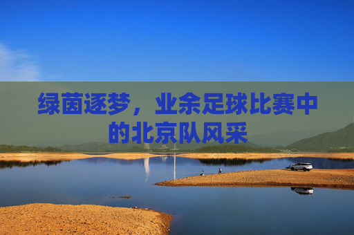 绿茵逐梦，业余足球比赛中的北京队风采