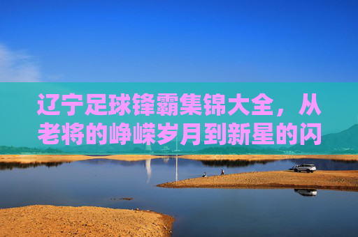辽宁足球锋霸集锦大全,从老将的峥嵘岁月到新星的闪耀征程,那些改变战局的进球瞬间