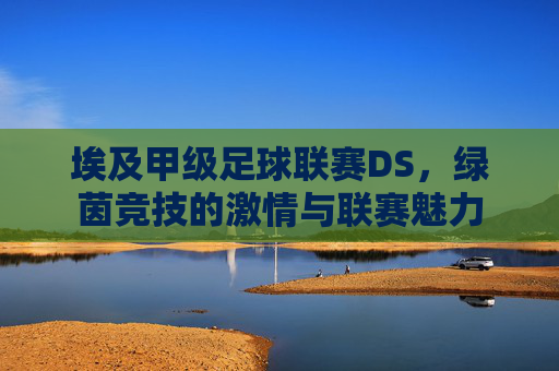 埃及甲级足球联赛DS,绿茵竞技的激情与联赛魅力