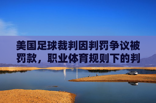 美国足球裁判因判罚争议被罚款,职业体育规则下的判罚风暴