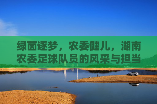 绿茵逐梦，农委健儿，湖南农委足球队员的风采与担当