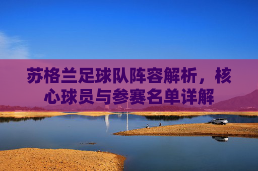 苏格兰足球队阵容解析，核心球员与参赛名单详解