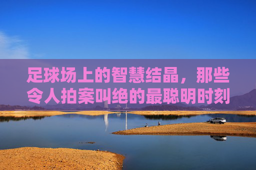 足球场上的智慧结晶,那些令人拍案叫绝的最聪明时刻视频解析