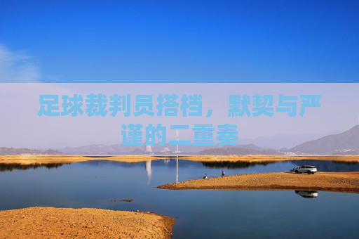 足球裁判员搭档，默契与严谨的二重奏