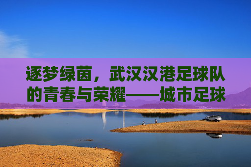 逐梦绿茵,武汉汉港足球队的青春与荣耀——城市足球记忆的传承与新生