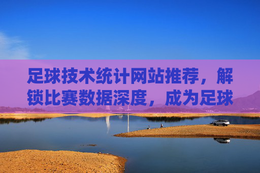 足球技术统计网站推荐,解锁比赛数据深度,成为足球分析达人