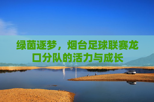 绿茵逐梦，烟台足球联赛龙口分队的活力与成长