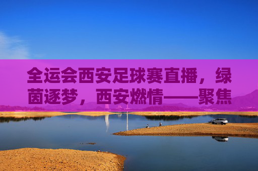 全运会西安足球赛直播，绿茵逐梦，西安燃情——聚焦2024年全运会男子足球U20组别赛事