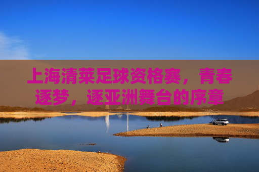 上海清莱足球资格赛,青春逐梦,逐亚洲舞台的序章