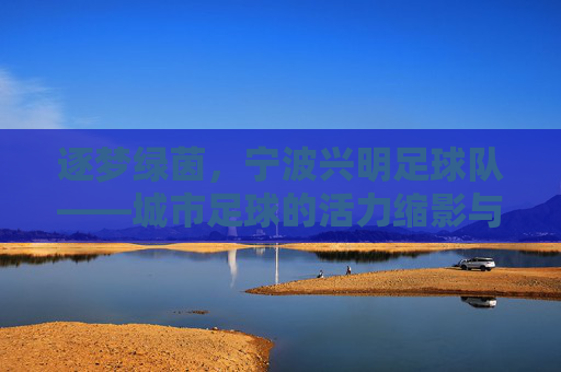 逐梦绿茵,宁波兴明足球队——城市足球的活力缩影与未来展望