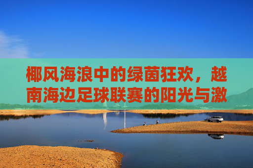 椰风海浪中的绿茵狂欢，越南海边足球联赛的阳光与激情