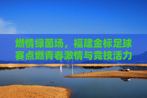 燃情绿茵场，福建金标足球赛点燃青春激情与竞技活力，燃情绿茵场，福建金标足球赛点燃青春激情与竞技活力
