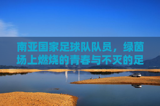 南亚国家足球队队员,绿茵场上燃烧的青春与不灭的足球梦