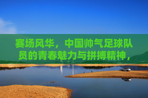 赛场风华，中国帅气足球队员的青春魅力与拼搏精神，赛场风华，中国帅气足球队员的青春魅力与拼搏精神