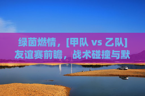 绿茵燃情，[甲队 vs 乙队]友谊赛前瞻，战术碰撞与默契生辉