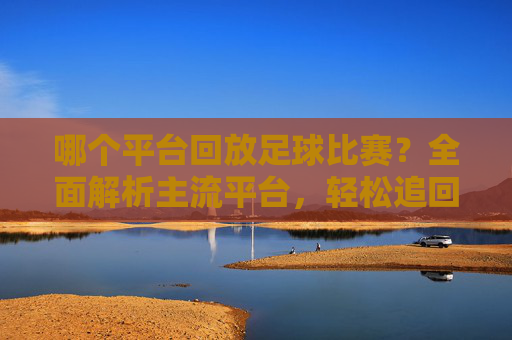 哪个平台回放足球比赛?全面解析主流平台,轻松追回精彩赛事